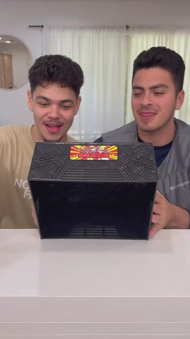 2 Player Wack A Balloon Game